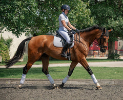 Wolf London Ladies Competition Beta Riding Breech