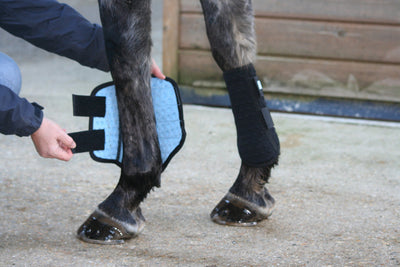 Equilibrium Stretch & Flex Flatwork Wrap