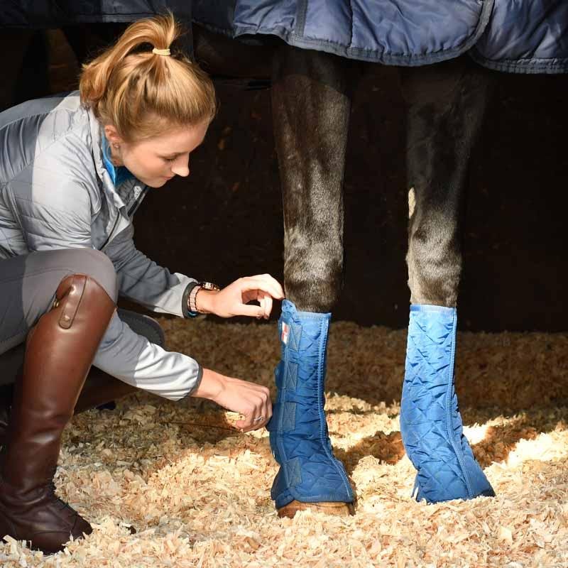 Equilibrium Stable Chaps