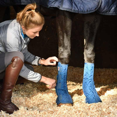 Equilibrium Stable Chaps