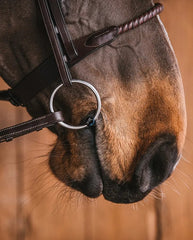 Fager Carl Bit - Loose & Fixed Rings