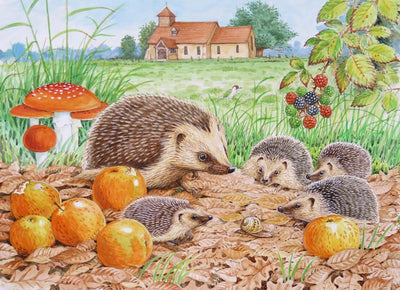 Wildlife Greeting Card - Hedgehog by David Thelwell