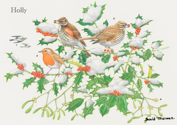 Tree & Wildlife Greeting Card - Holly Tree