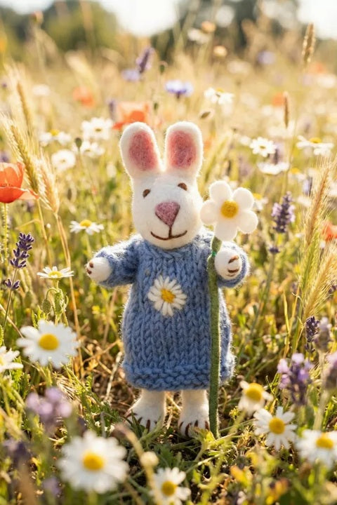 Pachamama Daisy the Rabbit