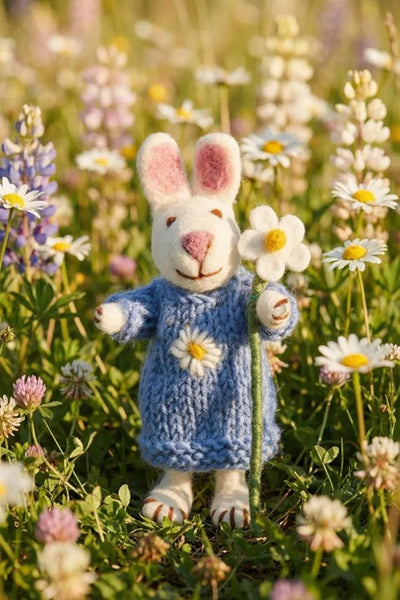 Pachamama Daisy the Rabbit