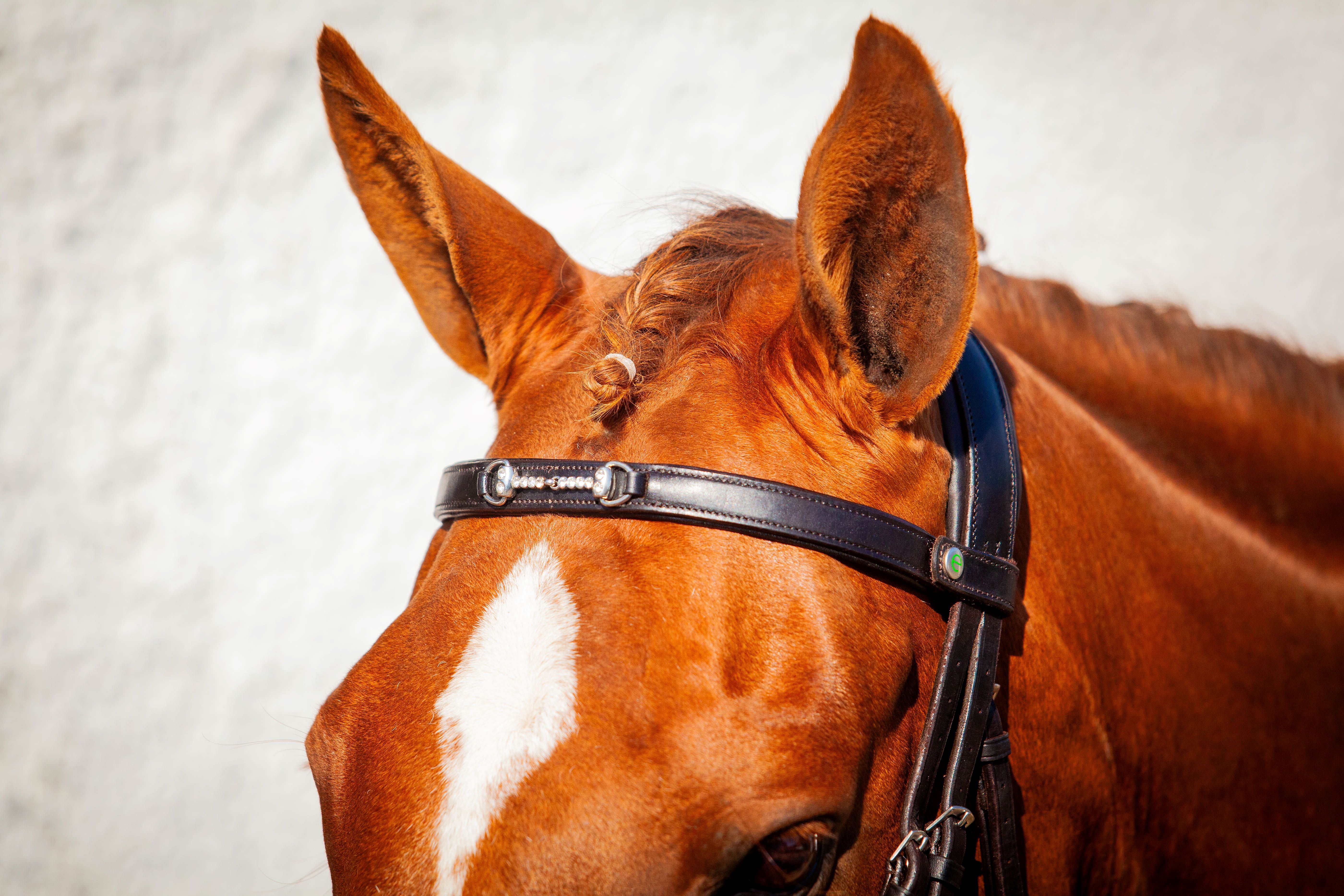 EcoRider Perfect Fit Snaffle Browband
