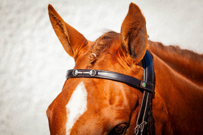 EcoRider Perfect Fit Snaffle Browband