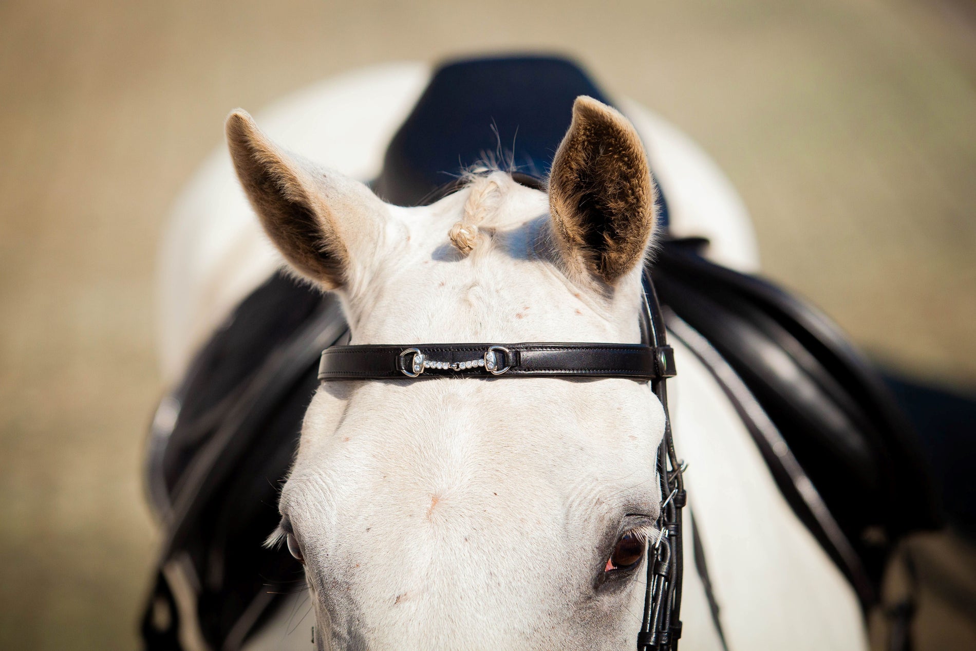 EcoRider Perfect Fit Snaffle Browband