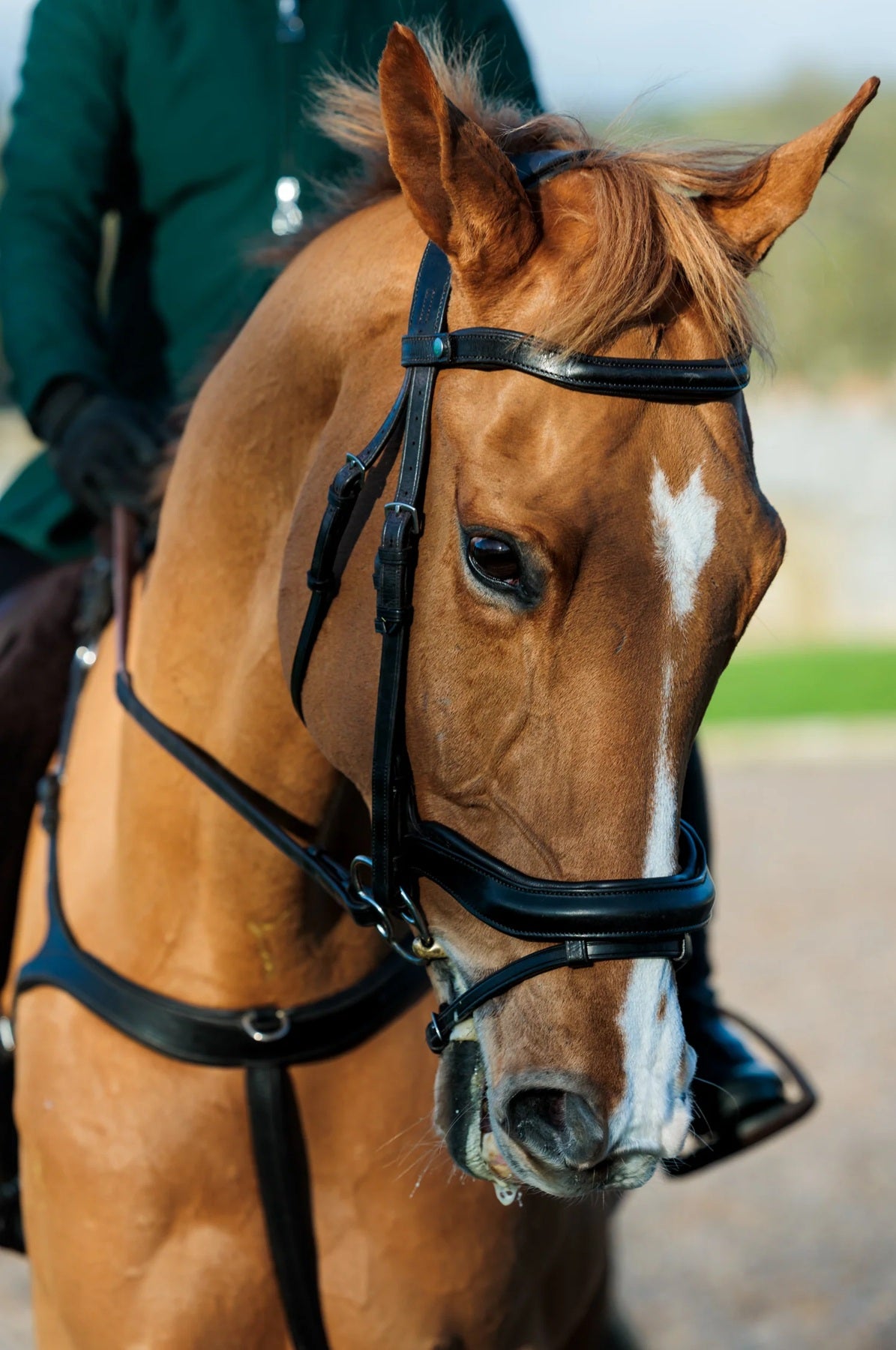 EcoRider Seamfree Anatomic Bridle