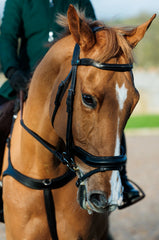 EcoRider Seamfree Anatomic Bridle