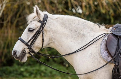 EquiAmi Pony Grass Reins