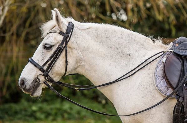EquiAmi Pony Grass Reins