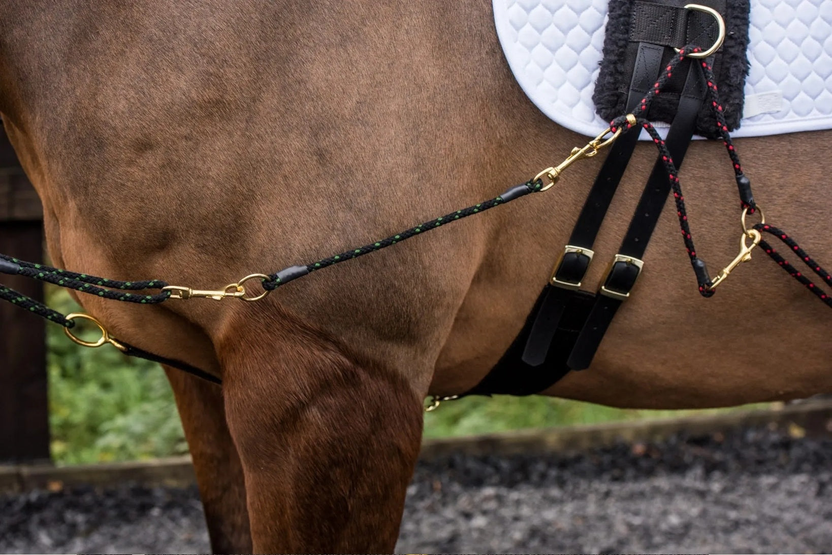 EquiAmi Lunge Aid Extenders