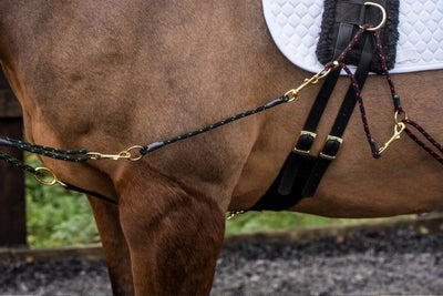 EquiAmi Lunge Aid Extenders