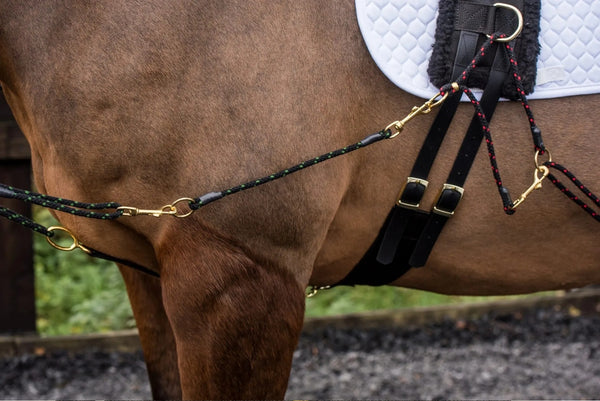 EquiAmi Lunge Aid Extenders