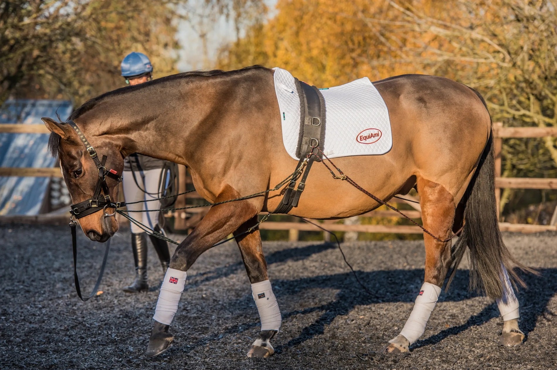 EquiAmi Global Lunge And Riding Aid