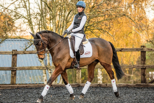 EquiAmi Riding Aid