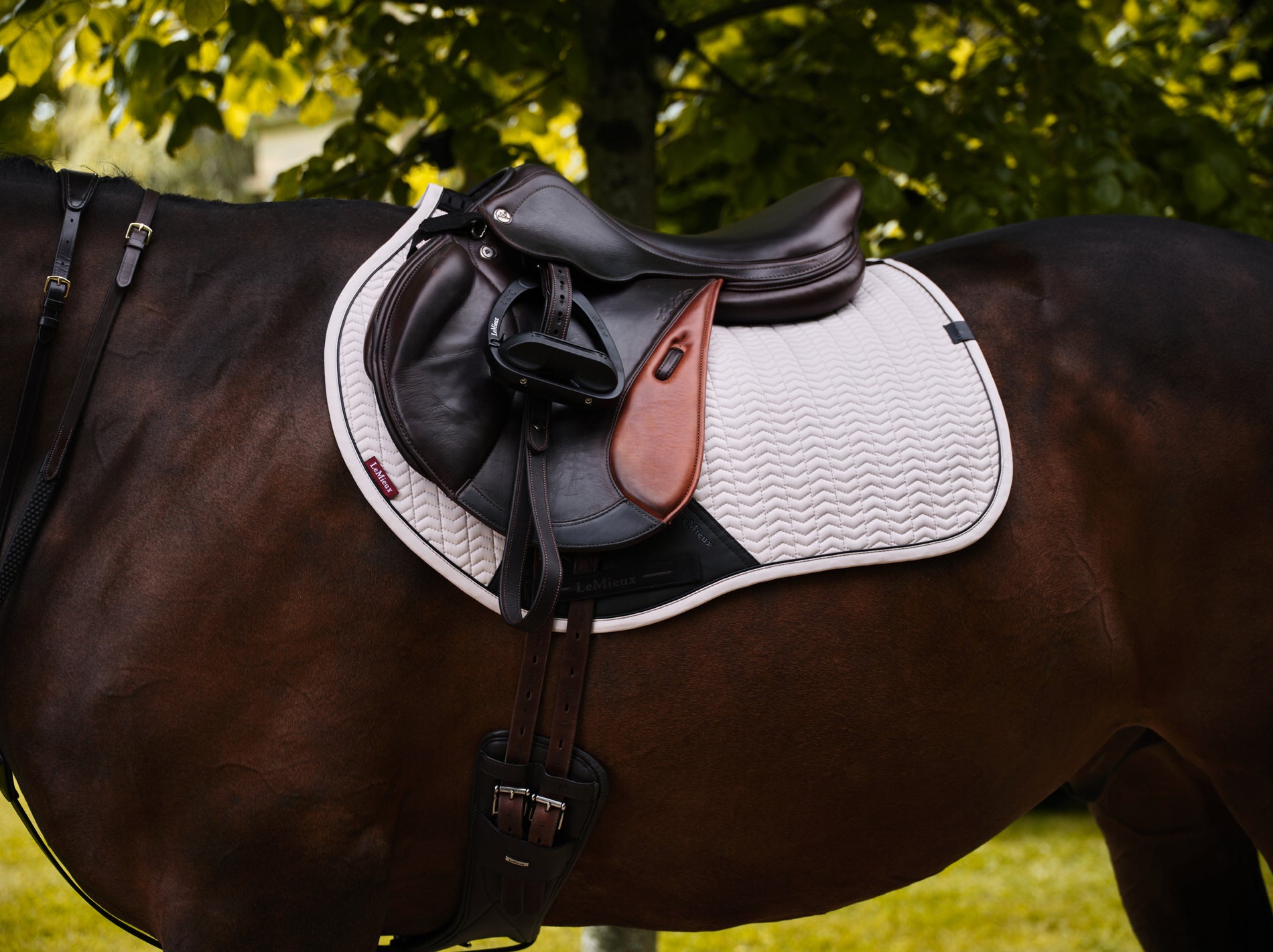 LeMieux Essence Eurojump Square