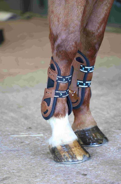 Cryochaps Exoskeleton Air Flow Vented Tendon Boots for Horses