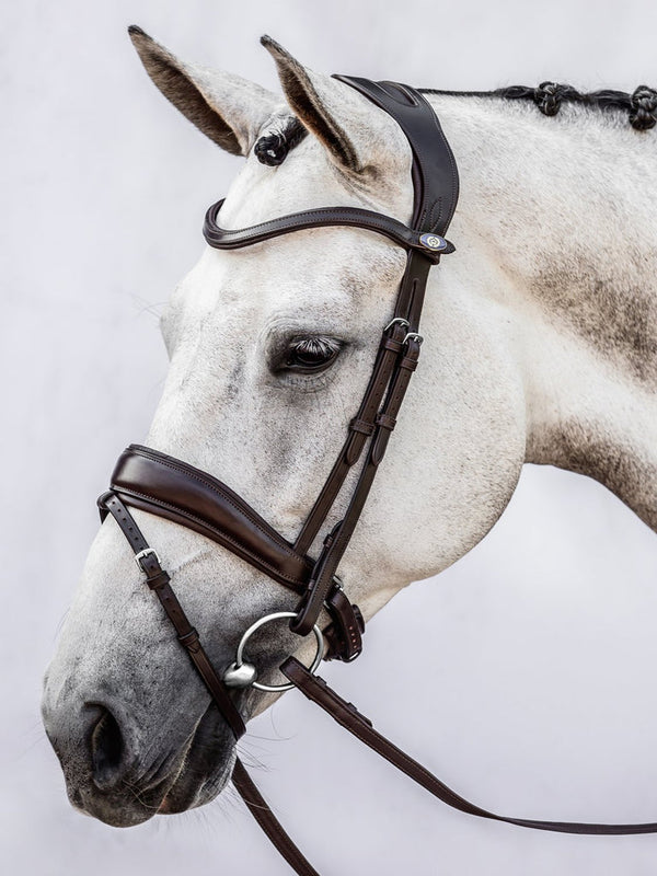 PS of Sweden Flying Change Bridle