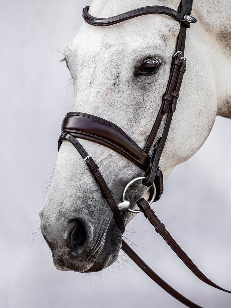 PS of Sweden Flying Change Bridle