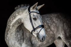 PS of Sweden Flying Change Bridle
