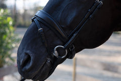 PS of Sweden Flying Change Bridle
