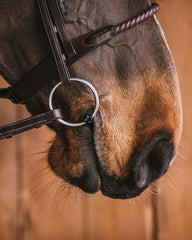 Fager Fanny Bit - Loose & Fixed RIng