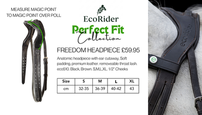 EcoRider Perfect Fit Anatomic Headpiece