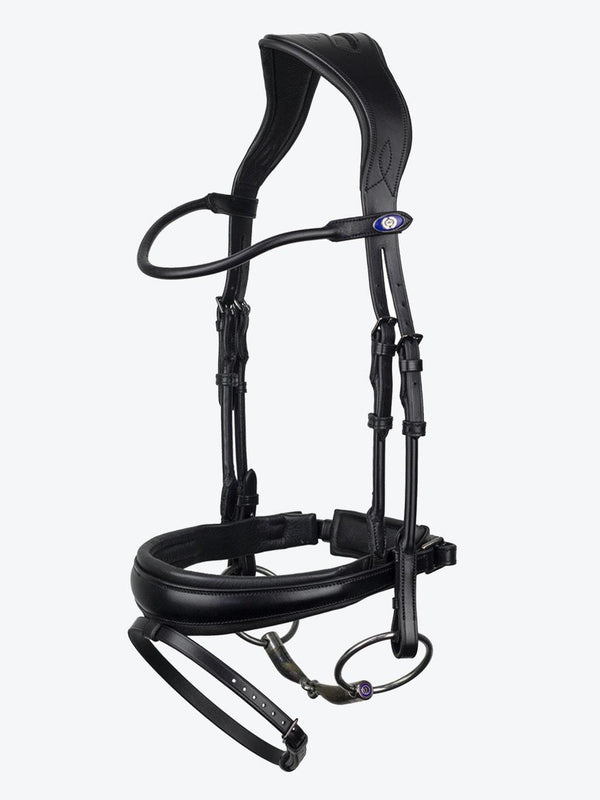 PS of Sweden GP Bridle