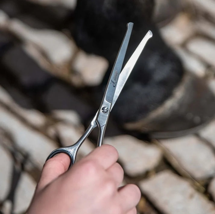 Smart Grooming Curved Safety Scissors