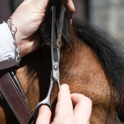 Smart Grooming Curved Safety Scissors