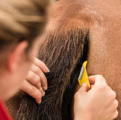 Smart Grooming Equi-Shave
