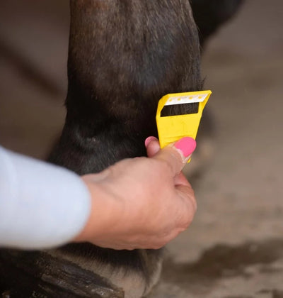 Smart Grooming Equi-Shave