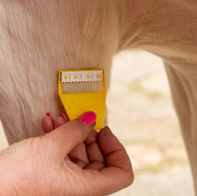 Smart Grooming Equi-Shave
