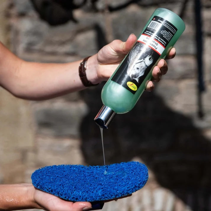 Smart Grooming Supe Groomer - Deluxe Edition