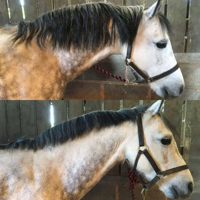 Smart Manes Thinning Rake