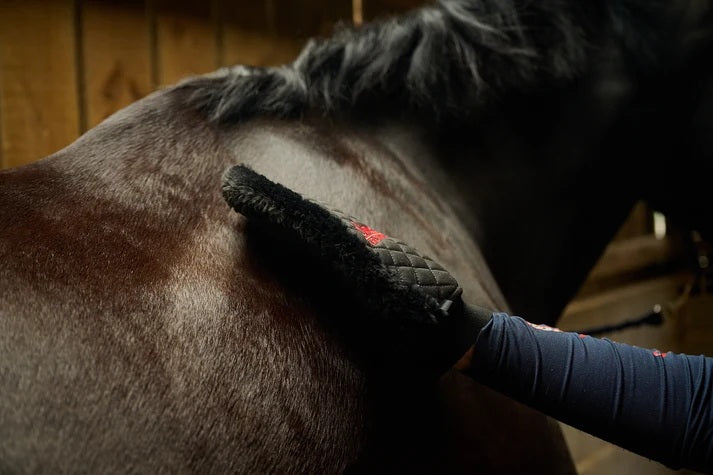 Quilted Grooming Mitt