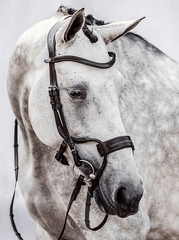 PS of Sweden High Jump Bridle