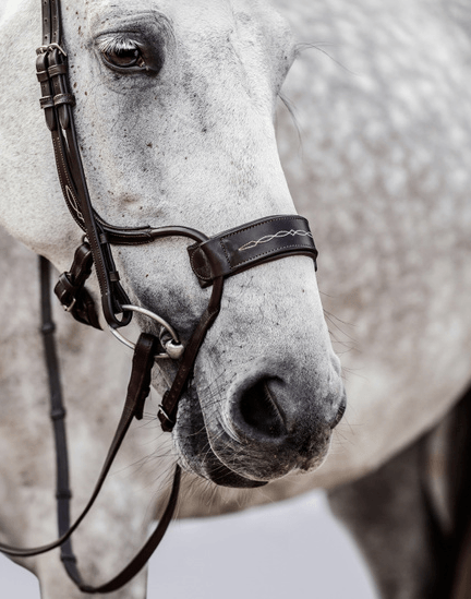 PS of Sweden High Jump Bridle