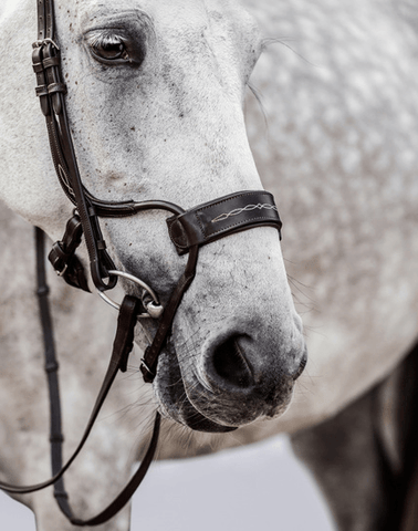 PS of Sweden High Jump Bridle