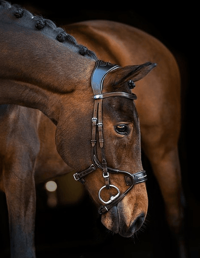 PS of Sweden High Jump Bridle