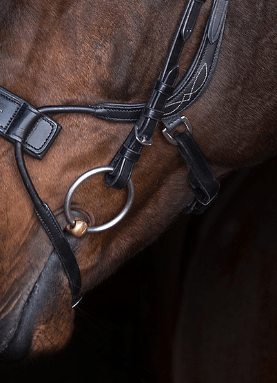 PS of Sweden High Jump Bridle