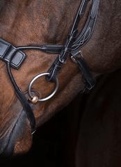 PS of Sweden High Jump Bridle