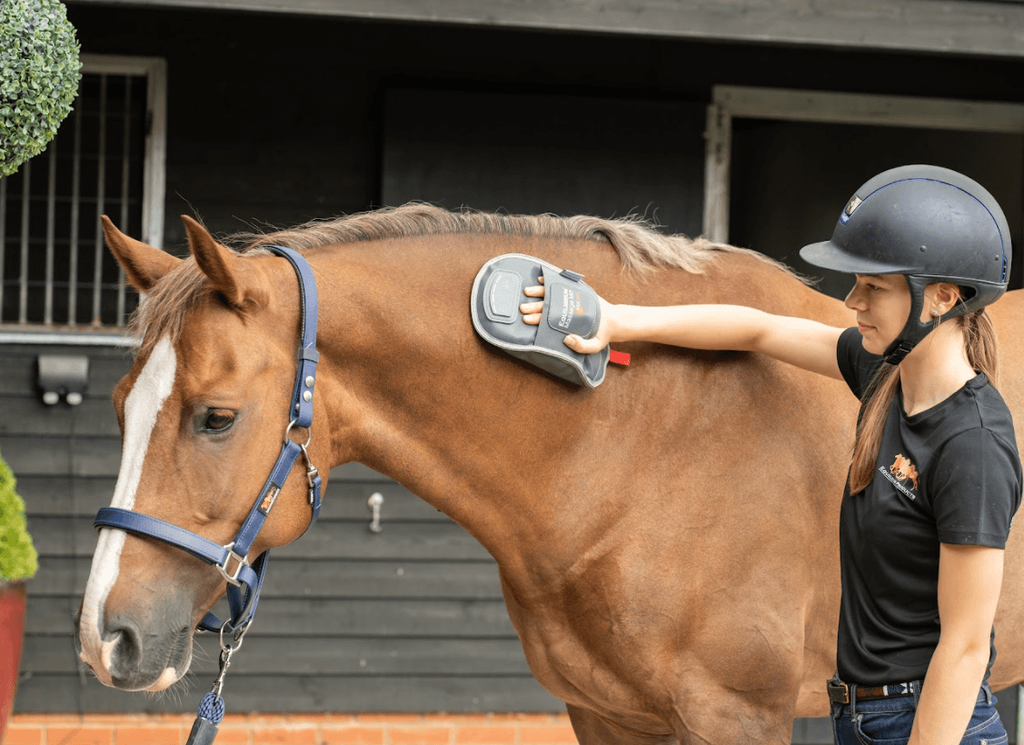Equilibrium HotSpot Massage Mitt