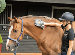 Equilibrium HotSpot Massage Mitt
