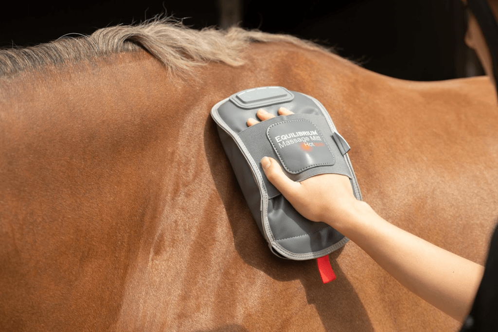 Equilibrium HotSpot Massage Mitt