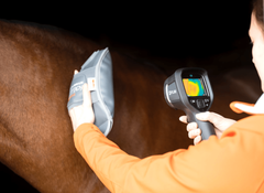 Equilibrium HotSpot Massage Mitt