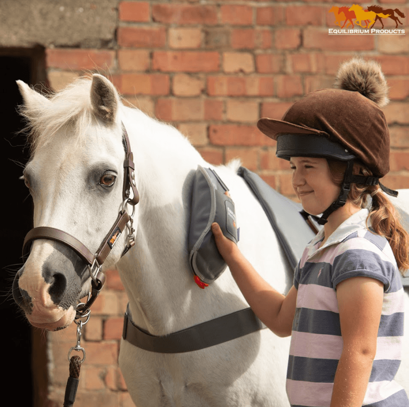 Equilibrium HotSpot Massage Mitt