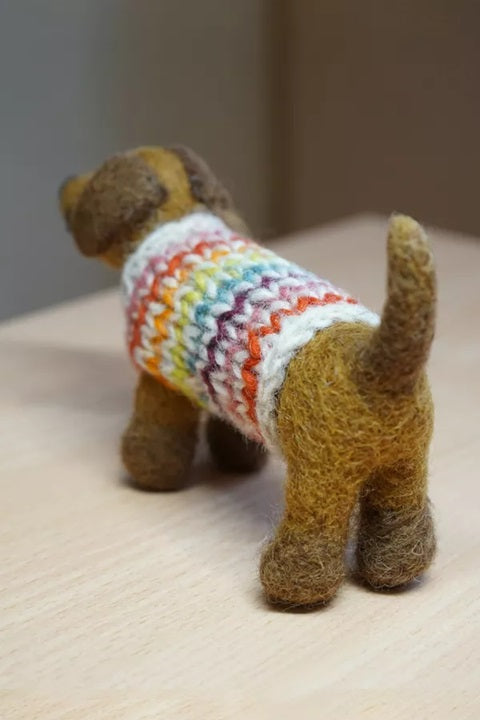 Pachamama Hoxton Harry the Dachshund
